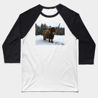 Scottish Highland Cattle Cow 2305 Baseball T-Shirt